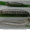 chaz persephone larva3 volg